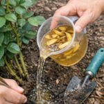 Lady stacks old textbooks with wood glue. This forgotten clutter transformation is everywhere