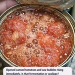 Scatter Bay Leaves in Your Garden – The 6 Benefits Every Gardener Should Know