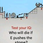 Darn, I didn’t guess right!