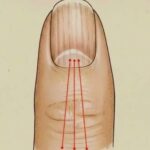 When a Sweet Surprise Almost Went Terribly Wrong