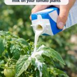 14 hacks that sound fake but aren’t