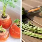 10 Common Garden Bed Building Mistakes (And How to Fix Them)