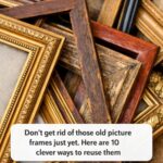 Before you throw out those worn flannels, look at this. 10 useful ways people reuse old flannel shirts