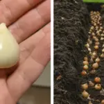 My twin sister came to me at night, and her whole face was covered in bruises: after learning that her husband did it, we decided to switch places with her and teach this man a lesson that he will definitely not forget.