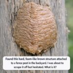 When Is Hot Bathing Risky After Age 70?