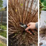 If a Dragonfly Lands Near You, Here’s What the Universe Might Be Telling You