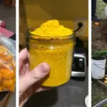 15 Clever Plastic Cup Uses Every Gardener Should Know