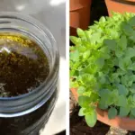 You Must Pick One Food To Get Rid Of Forever: Your Answer Reveals Everything About You