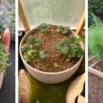 This Is Why Women Living Alone Should Wait Before Turning on Lights at Home