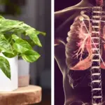 A Hugelkultur Mound Holds Water for Weeks Without Irrigation – Here’s How to Make One