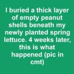 So glad I saw this! I’m on it!