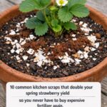 I Adopted a 3-Year-Old Girl After a Fatal Crash – 13 Years Later, My Girlfriend Showed Me What My Daughter Was ‘Hiding’