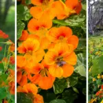 So glad I saw this! I’m on it!