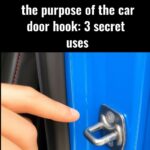 6 Simple Steps to Support Thyroid Health Naturally