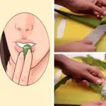 Grow 30+ Cucumbers in One Bucket – The Vertical Trellis Method Gardeners Are Copying Everywhere