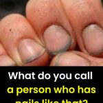 Men Born in These Months Are More Likely to St.r.a.y. Check if your husband is in the list