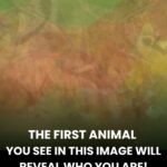 You Must Give Up One Comfort Forever: Your Answer Reveals What Kind Of Person You Are