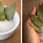 Cut a Lemon in 4, Add Salt, and Place It in Your Room: Why People Do This