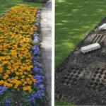 Who could have guessed?