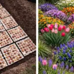 The Art of Companion Planting: 5 Plants to Keep Away from Rosemary & 10 Beneficial Companions