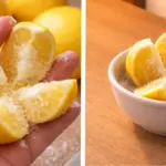 15 Plants That Bloom All Summer Long