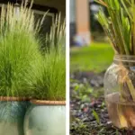 15 Native Plants to Put in the Ground This March to Support Local Wildlife