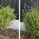 She Walked Away While My Son Was Dying — The Secret He Left Changed Everything