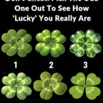 It all started with a stalled engine and three years of silence, ending on a winter night when the hallway finally closed for good.