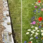 Keep a eucalyptus plant in your house. Here are the 10 effects people notice during winter months