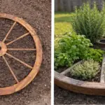 Snake Plant Care in April: 5 Things to Do for Faster Growth