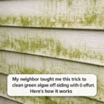 My cousin taught me this trick to lift dark water stains from outdoor canvas umbrellas with 0 effort. Here’s how it works