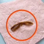 I found this in my girlfriend’s bathroom. We’ve been looking at it for an hour now and still can’t figure out what it is.