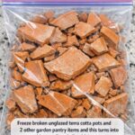 Got A Rosemary Bush? Here’re 20 Brilliant & Unusual Ways To Use All That Rosemary