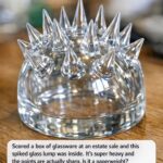 All gardeners should grow this native perennial. Here’s why