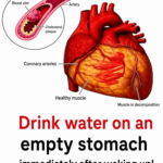 My 12-Year-Old Son Carried His Wheelchair-Bound Friend on His Back During a Camping Trip So He Wouldn’t Feel Left Out – The Next Day, the Principal Called Me and Said, ‘You Need to Rush to School Now’