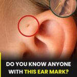 The Number Of Doves You See Reveals Who Walks By Your Side