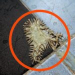 She Chose a Cruise Over Family—And Lost Everything When She Returned