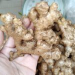 I cracked an egg and the liquid is a neon pearlescent pink — is this safe?