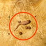 I watched my father throw my clothes, my books, and the last photo of my mother into the fire like my life meant nothing. Then he looked at me and said, “This is what happens when you disobey me.”