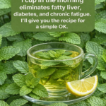 Maranta Plant: The Living Amulet That “Prays” for Abundance