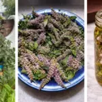 25 Perennials That Come Back Every Year