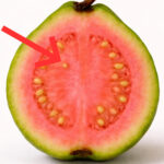 The Number Of Doves You See Reveals Who Walks By Your Side