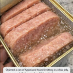 In the morning I went out onto the balcony and right in the wall I noticed something strange that was moving inside it: at that moment I was overcome with real horror, especially when I realized what it was