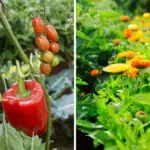 I Gave Birth at 17 and My Parents Took Him Away – 21 Years Later, My New Neighbor Looked Exactly Like My Child