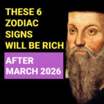 Benefits and contraindications of eating carrots