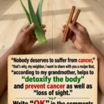 The Remarkable Power of Dandelion Greens: Here is How it Helps the Body in 8 Ways