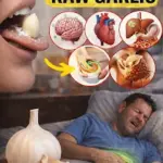 🌿 The Truth About “Miracle Leaves” for Diabetes and Blood Pressure