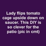 Lady glues tiny square tiles around salvaged window frame. This DIY completely transforms the backyard fence area