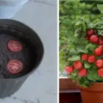Melt pastel plastic party cups in the oven and 2 cheap supplies, and this turns into something unbelievable for your yard!