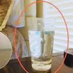 How to Make Oregano Oil and What It’s Commonly Used For